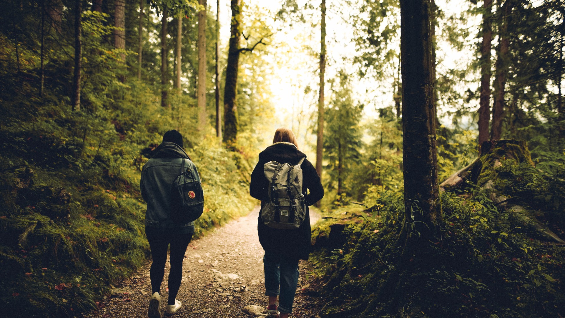 Two people hiking on a forest path, representing the journey to better health